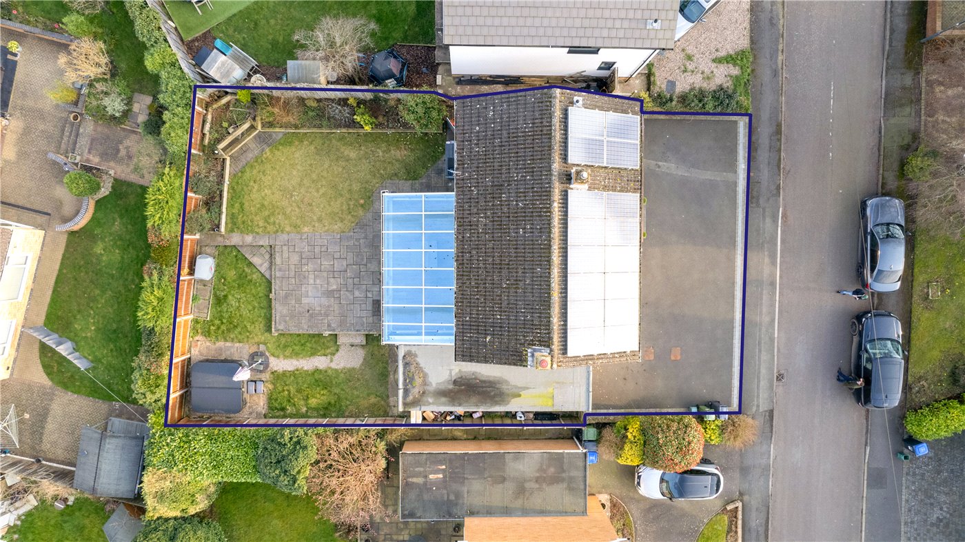 Birdseye